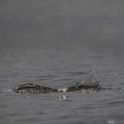 Rowing Equipment, Rowing Accessories | Revolution Rowing